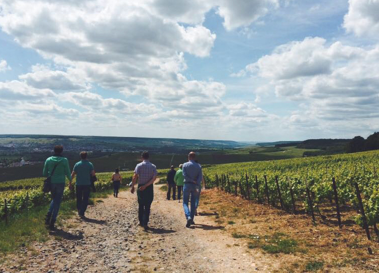 Discover the Champagne region!