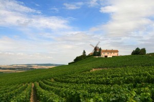 Route du champagne 2016 Aube