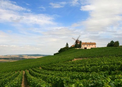 Route du champagne 2016 Aube