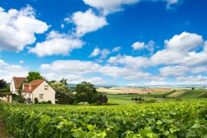 Champagnestreek landschap