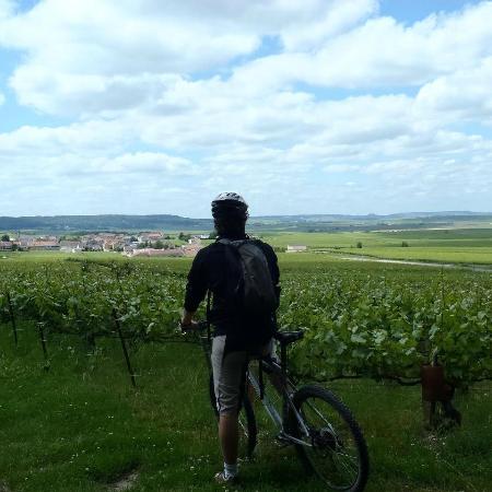 Visiting the Champagne region