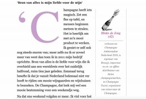 Interview Hinke in Financieel Dagblad