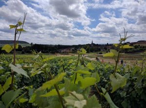 Route du Champagne 2016 | Foto: Cap'C