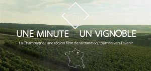 Une Minute, Un Vignoble